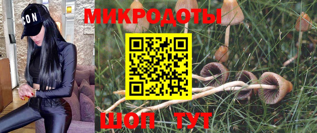 Рославль  Галлюциногенные грибы ЛСД  как найти наркотики  Вход с VPN 