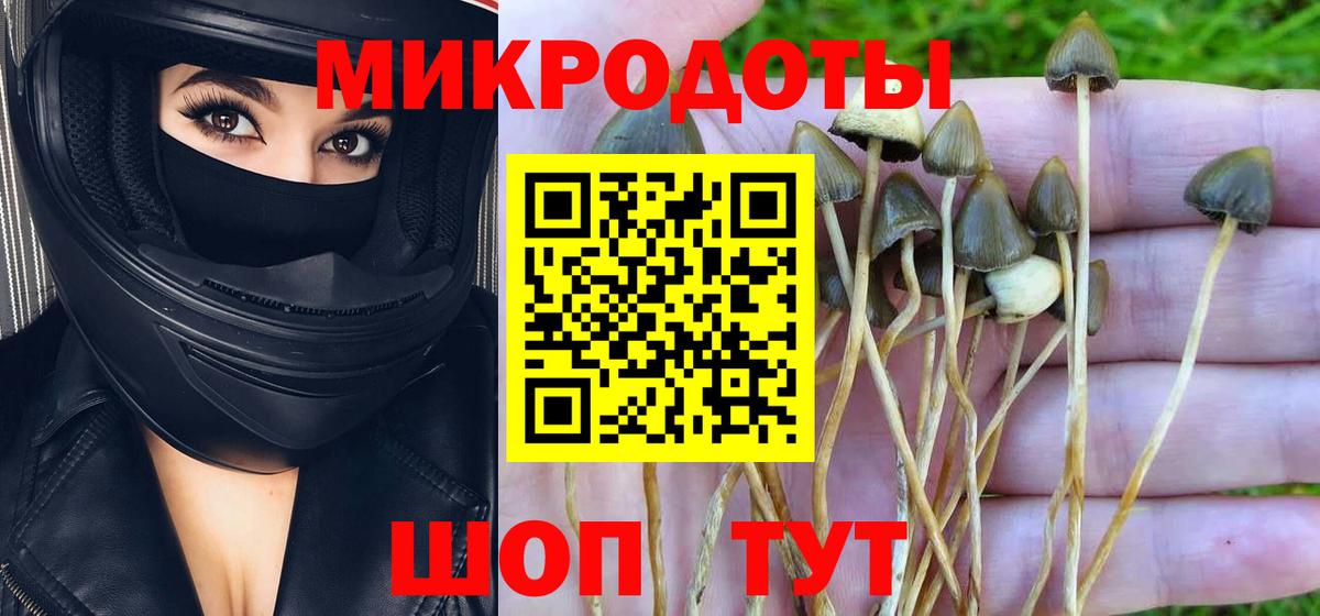 Псилоцибиновые грибы прущие грибы Рославль